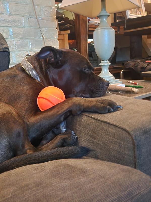 Photo - commentaire 6.