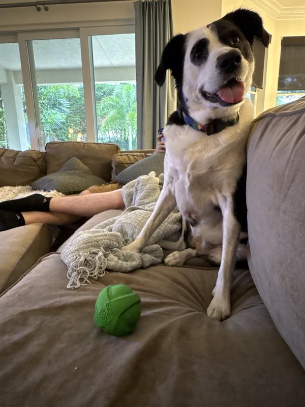 Photo - commentaire 4.