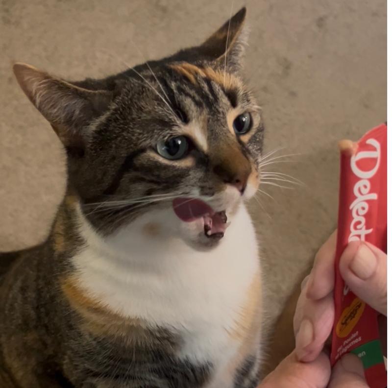 Penny Blossom anticipating a taste of happiness!