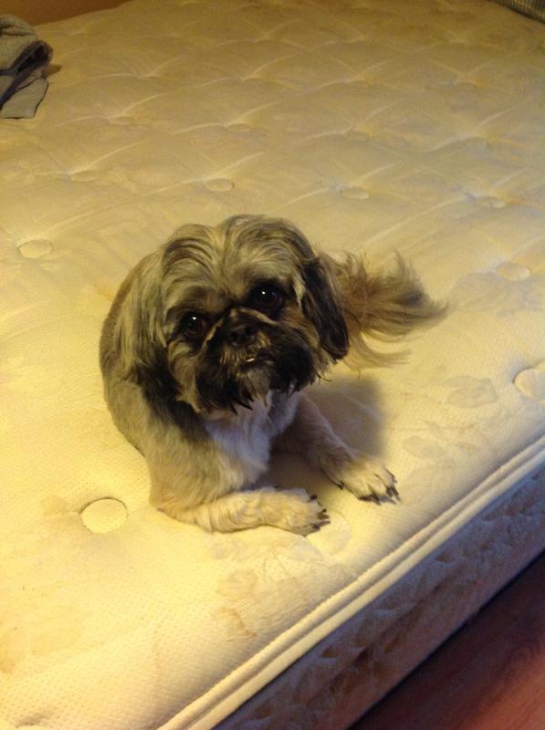 Photo - commentaire 6.