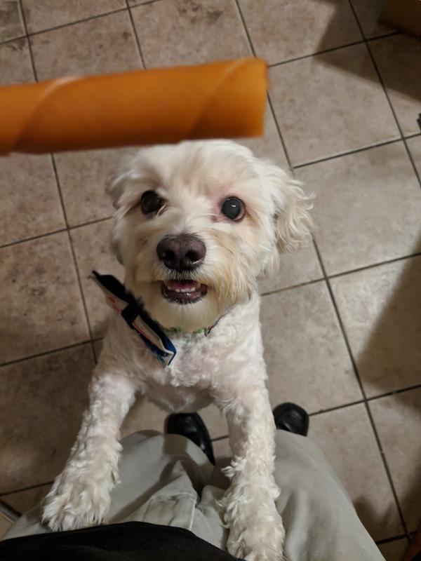 A very good girl!