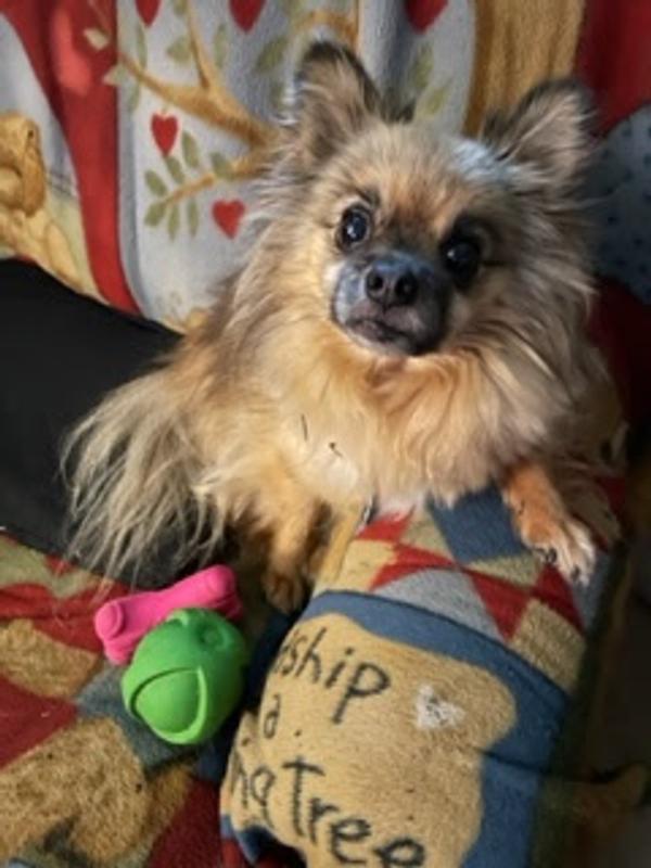 Kozmo Kornelius with both dura play toys