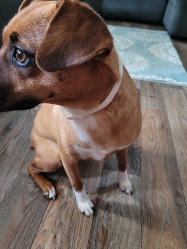 Photo - commentaire&nbsp;7.