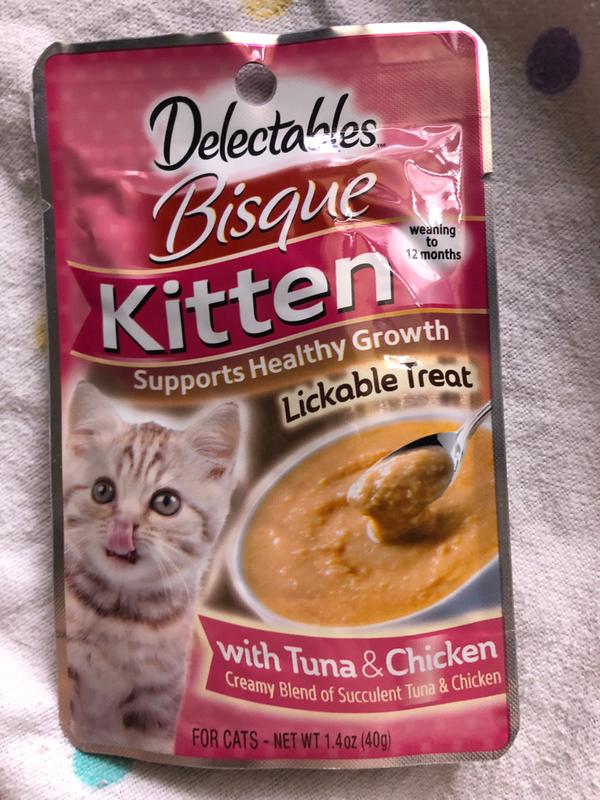 Delectables hotsell bisque kitten