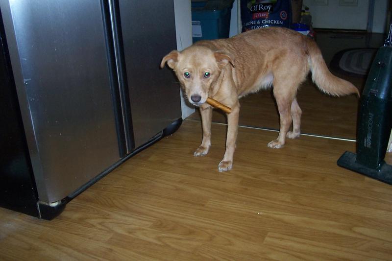 Need a private place to relax and enjoy my Oinkie