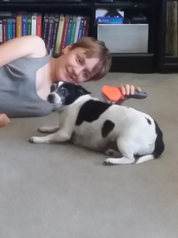 My kid can help care for our dog with this safe brush.