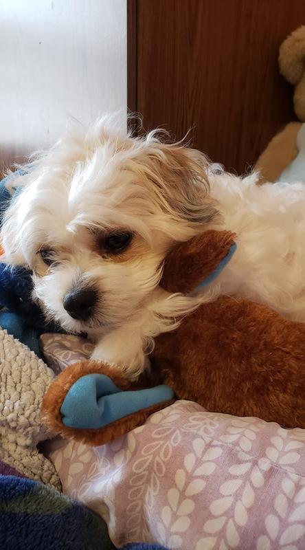 Photo - commentaire&nbsp;6.