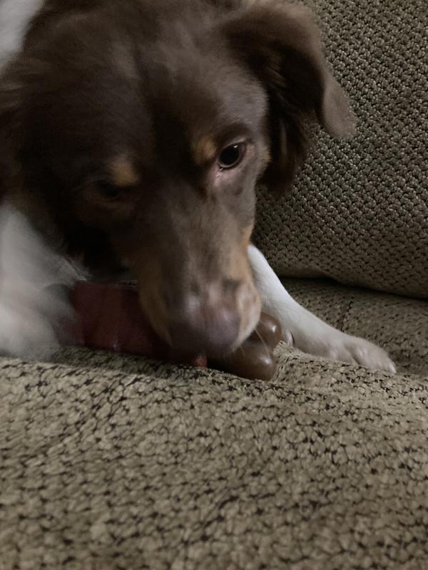 Photo - commentaire&nbsp;6.