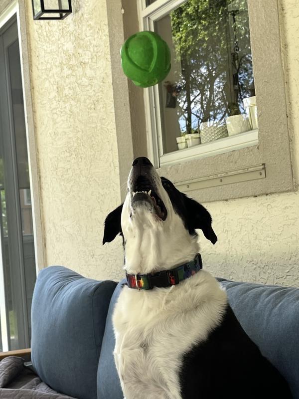 Photo - commentaire 5.