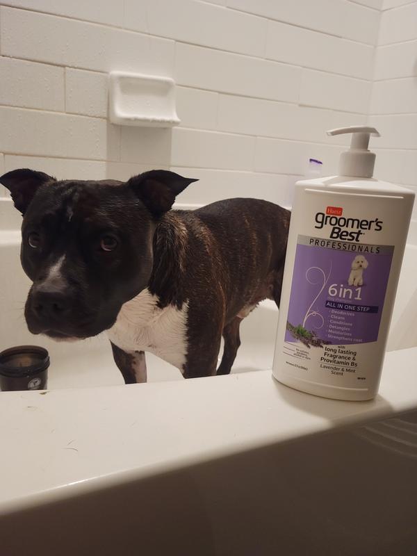 PROFESSIONAL PETS Lavender Scented Sanibox Cleanser 1 lt.