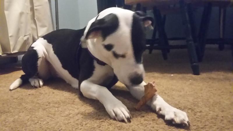 Her new favorite snack!