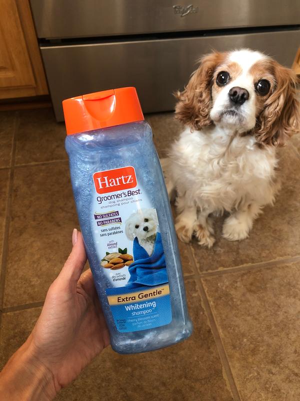 Hartz whitening dog shampoo review best sale