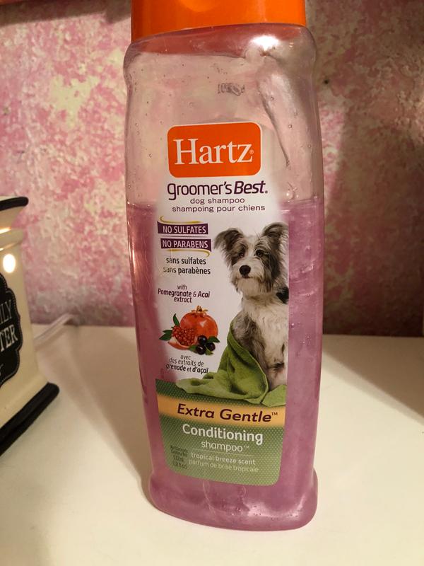 Conditioning Shampoo