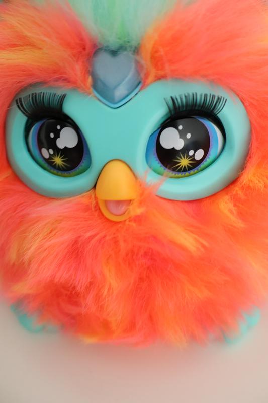 Photo - commentaire&nbsp;6.