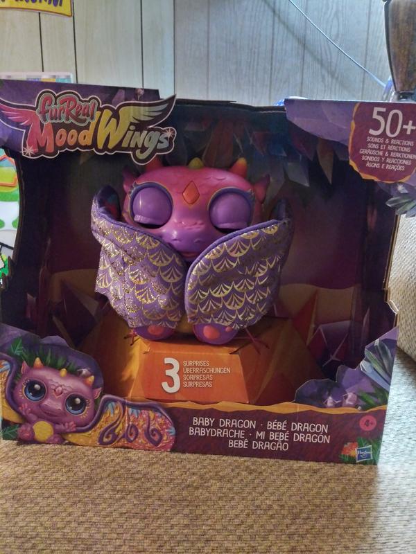 Photo - commentaire&nbsp;1.