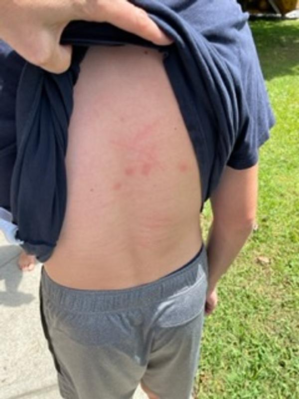 Photo - commentaire 3.