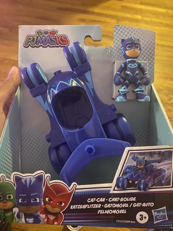 Molly loves her cat car and toy!