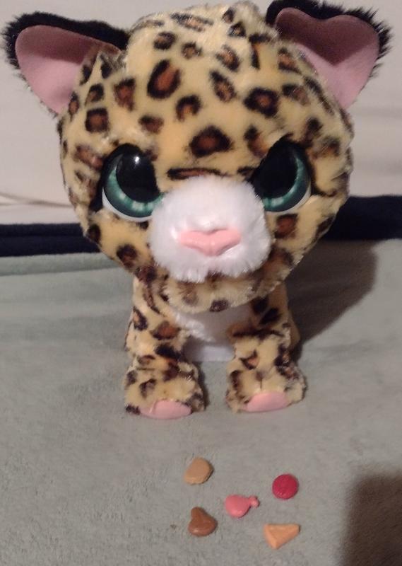Lolly the Leopard