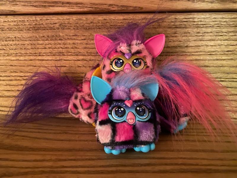 Photo - commentaire&nbsp;8.