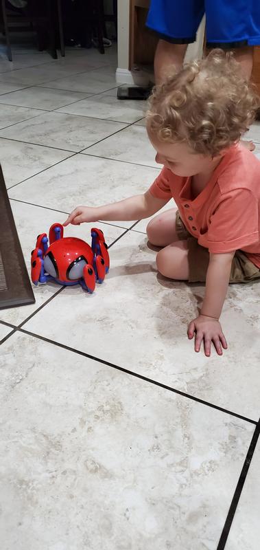 Spidey and His Amazing Friends Speak and Go Trace-E Bot Electronic Spider  Toy, Sound-Activated, Crawls, For Ages 3 and Up - Marvel