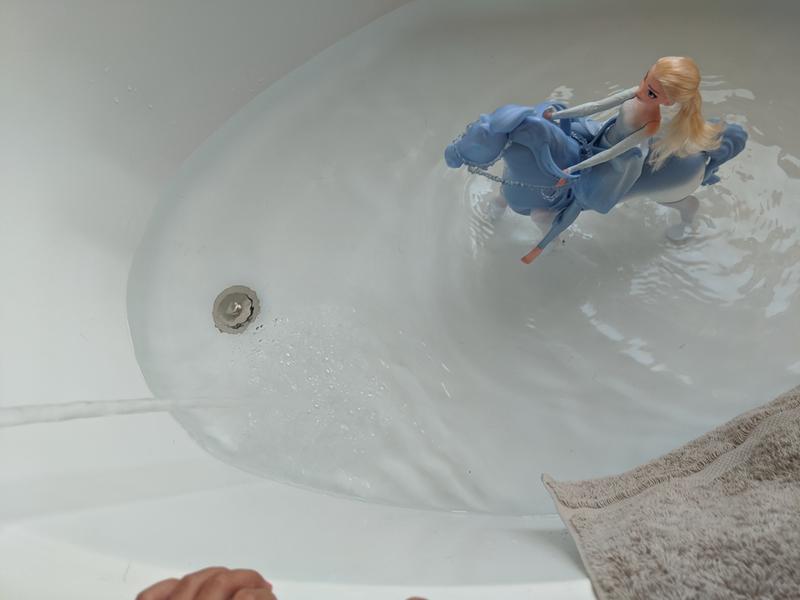 Horse walks in water!