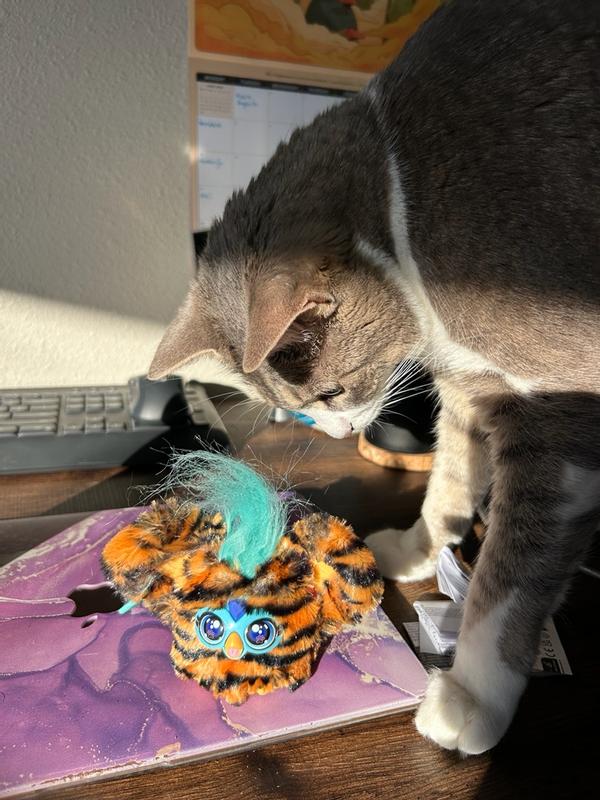 Photo - commentaire 6.