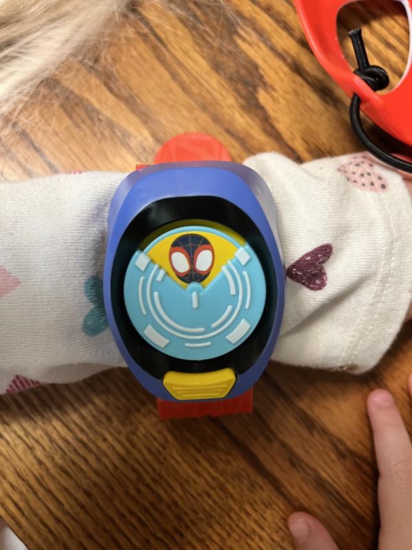 Another Spidey Picture