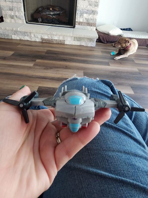 Photo from crickman143