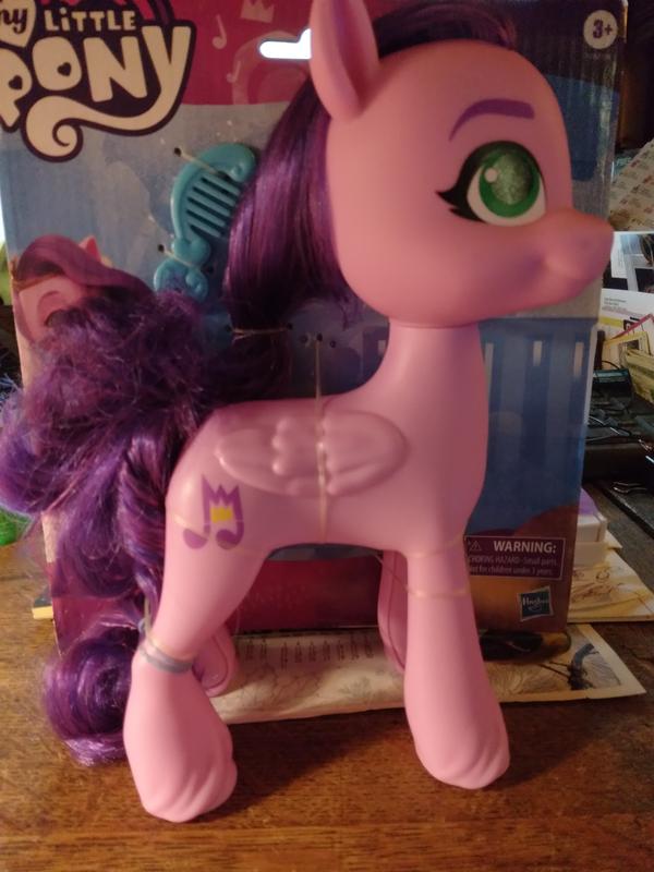 My Little Pony: A New Generation Mega Movie Friends Princess Petals -  8-Inch Pink Pony Figure with Comb, Toy for Kids Ages 3 and Up : :  Toys