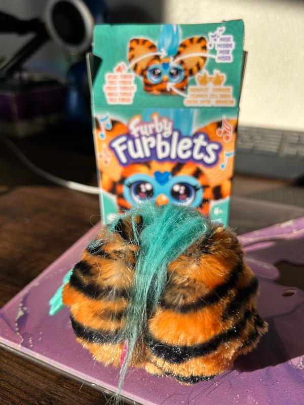 Photo - commentaire 4.