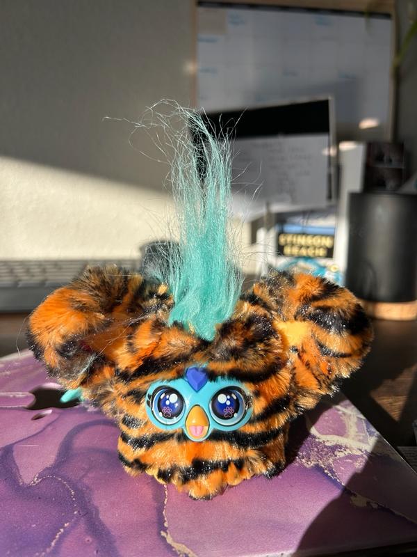 Photo - commentaire 5.