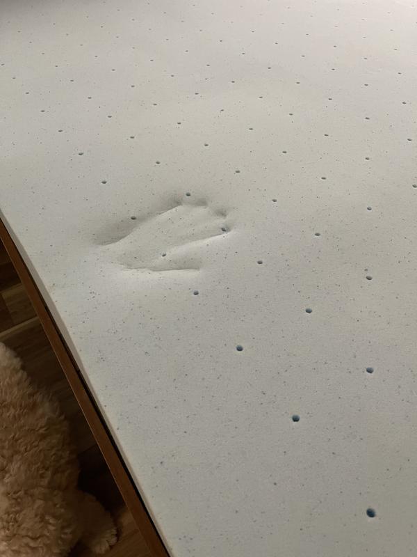 I had to be quick to take this photo before the handprint disappeared.