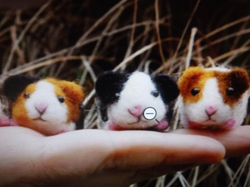 Three little 'Piggies',  (hand crafted ,with love