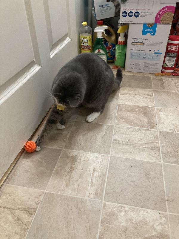 Okocat Super Soft Clumping Wood for Delicate Paws Cat Litter, 11.2 lbs