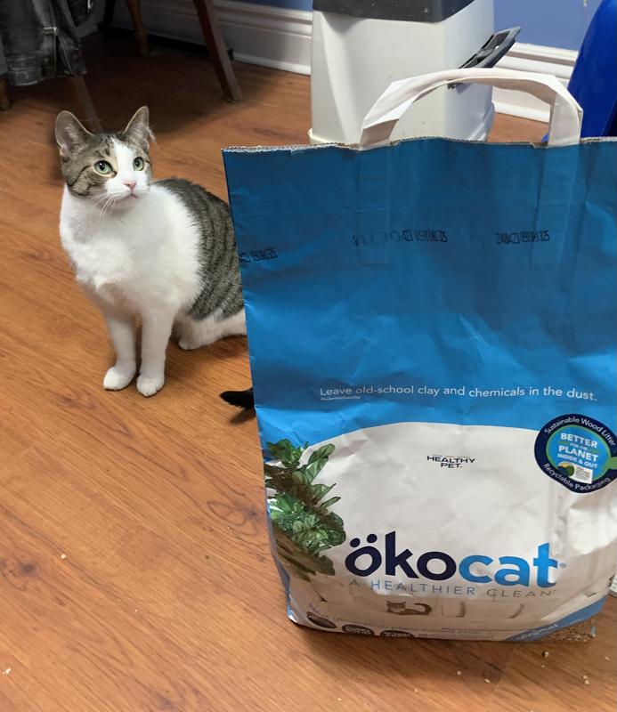 Okocat Original Premium Clumping Wood Cat Litter, 9.9 lbs. Petco