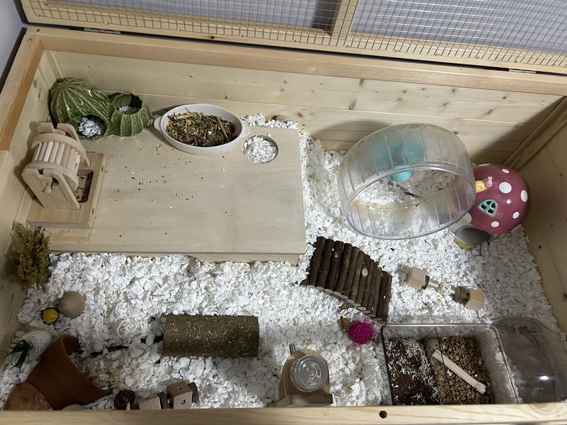 My hamster enclosure with Carefresh paper bedding