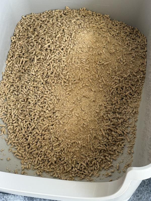 Photo - commentaire&nbsp;1.