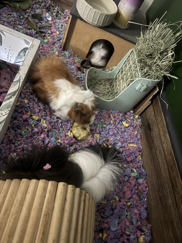 Our favorite bedding