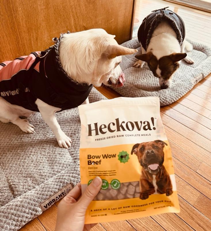 ドッグフード bow Bow Wow Beef Dog Food: 21g of protein per cup