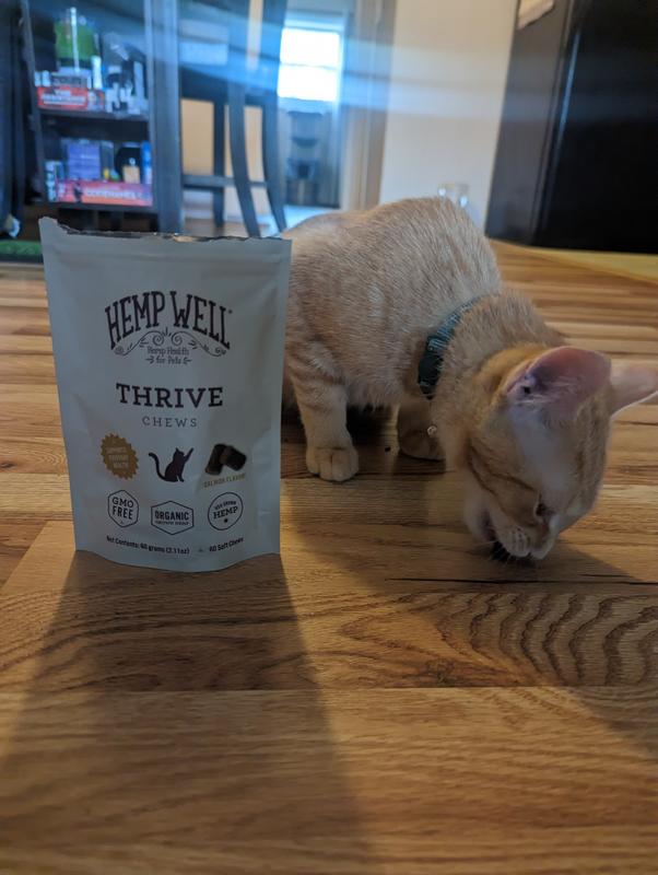Denny Approved!
