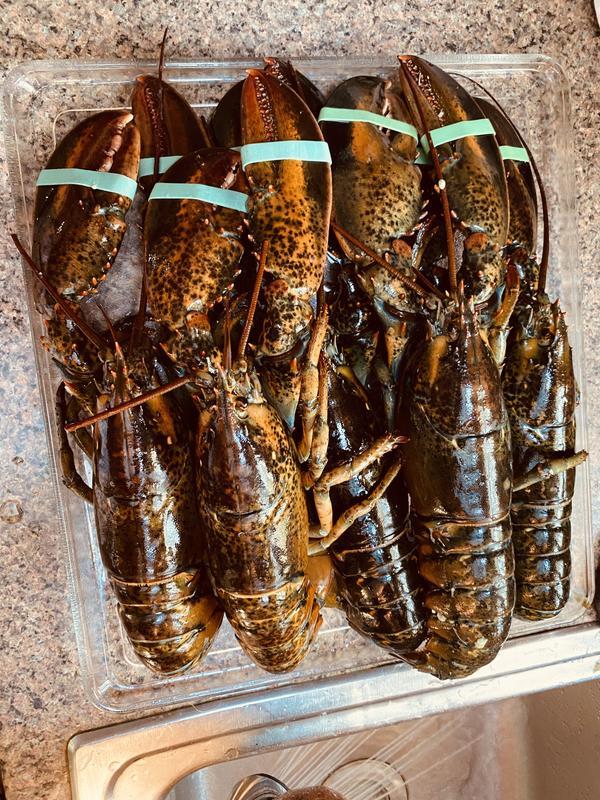 Opening the backs was so eady