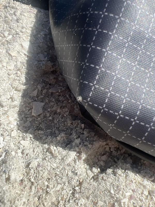 Review Thumbnail Image 1 356130786