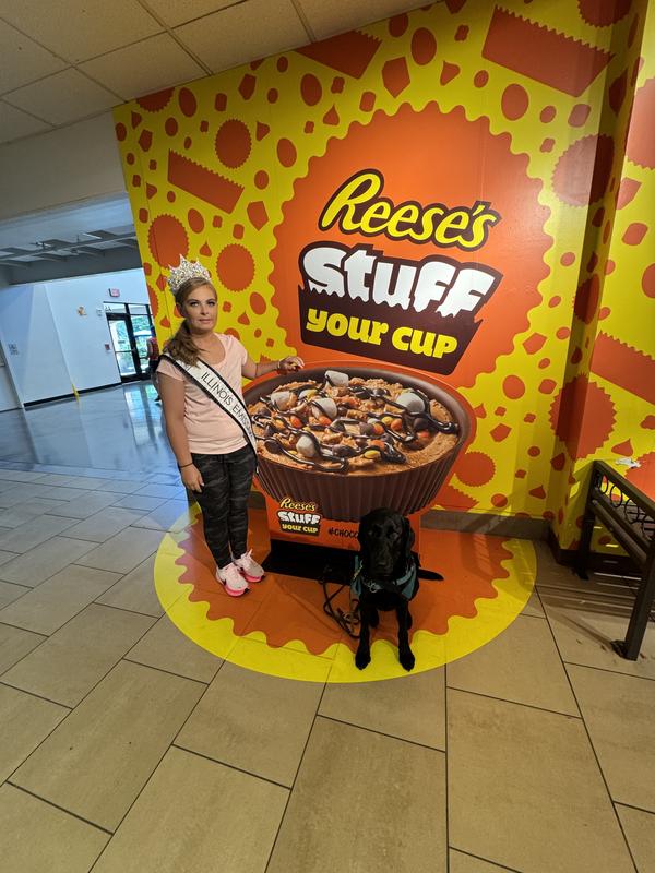 【タグ付美品】Hershey's Reese's ぬいぐるみセット 13” HERSHEY'S REESES'S PLUSH PEANUT BUTTER CUPS CHOCOLATE