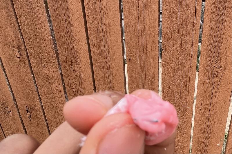 Found this piece in my chewable