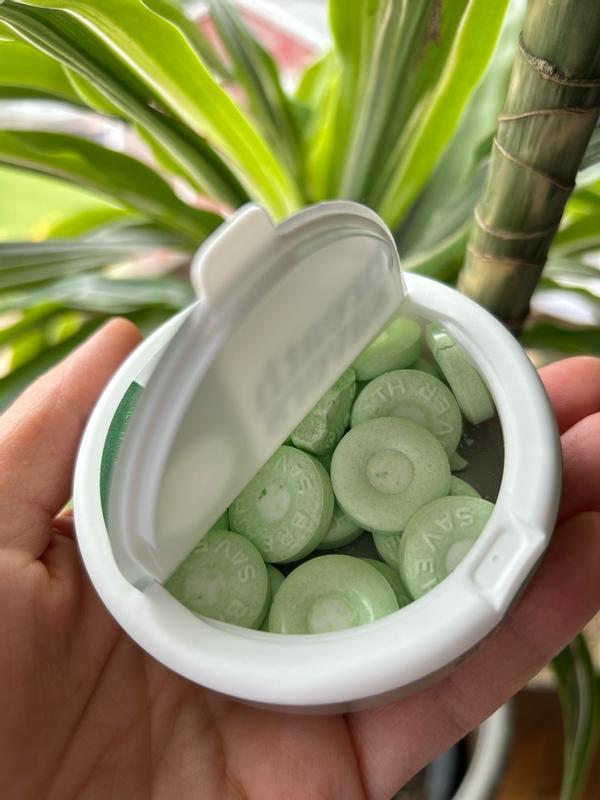 Buy BREATH SAVERS Spearmint Flavored Sugar Free Breath Mints Tin