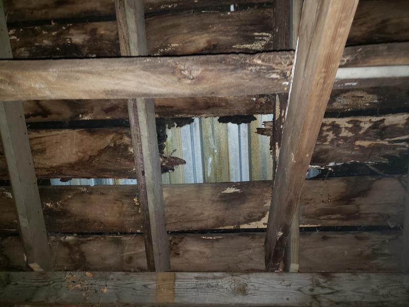 Photo - commentaire&nbsp;3.