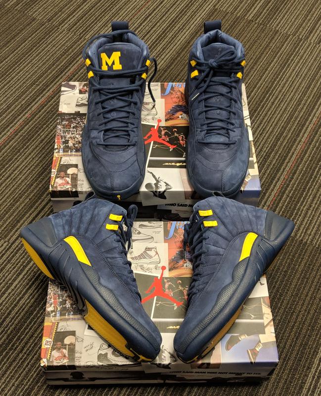 michigan jordan basketball shoes