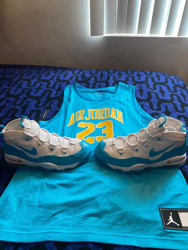 air max uptempo 95 blue