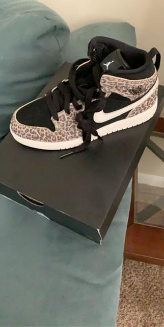 cheetah retro 1