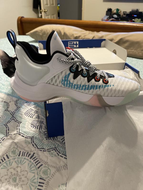 giannis force field shoes